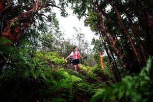 BIB: 
                            <button type="button" onclick="openModal(26202846)" class="btn btn-primary btn-sm float-right btn-popup" data-toggle="modal" data-target=".modal-high-quality">
                        <i class="fas fa-shopping-cart"></i> Add to Cart
                    </button>
                                            <button type="button" onclick="isThisMe(26202846, true)" class="btn btn-success btn-sm float-right btn-popup btn-isme hidden" data-toggle="tooltip" data-placement="bottom" title="นี่คือรูปของคุณใช่ไหม คลิกที่นี่เพื่อเอาเข้าอัลบั้ม">
                        <i class="fas fa-plus"></i> Add to album
                    </button>
                    <button type="button" onclick="isThisMe(26202846, false)" class="btn btn-warning btn-sm float-right btn-popup btn-isnotme hidden">
                        <i class="fas fa-ban"></i> Remove from album
                    </button>